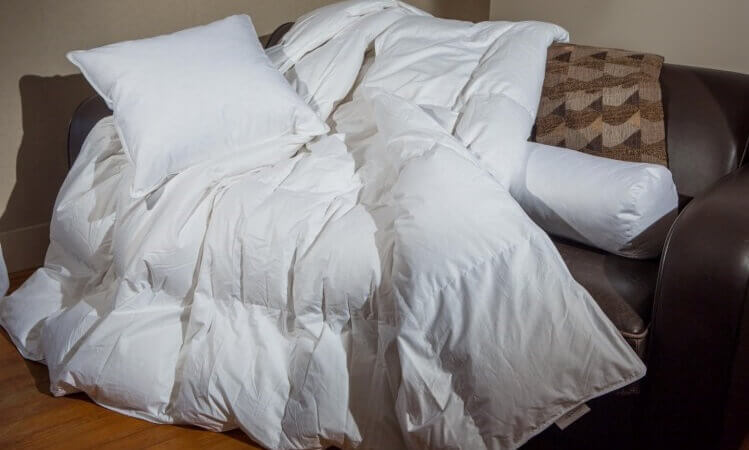 Couette, oreiller et traversin naturels en duvet Castex